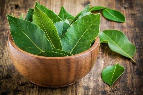 5 Khasiat Air Rebusan Daun Salam Campur Madu Bagi Kesehatan